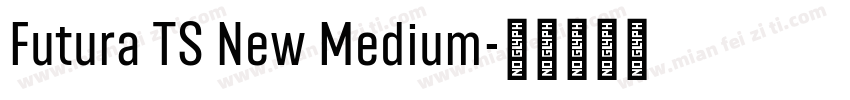 Futura TS New Medium字体转换